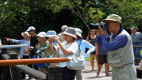 Turistas Japoneses